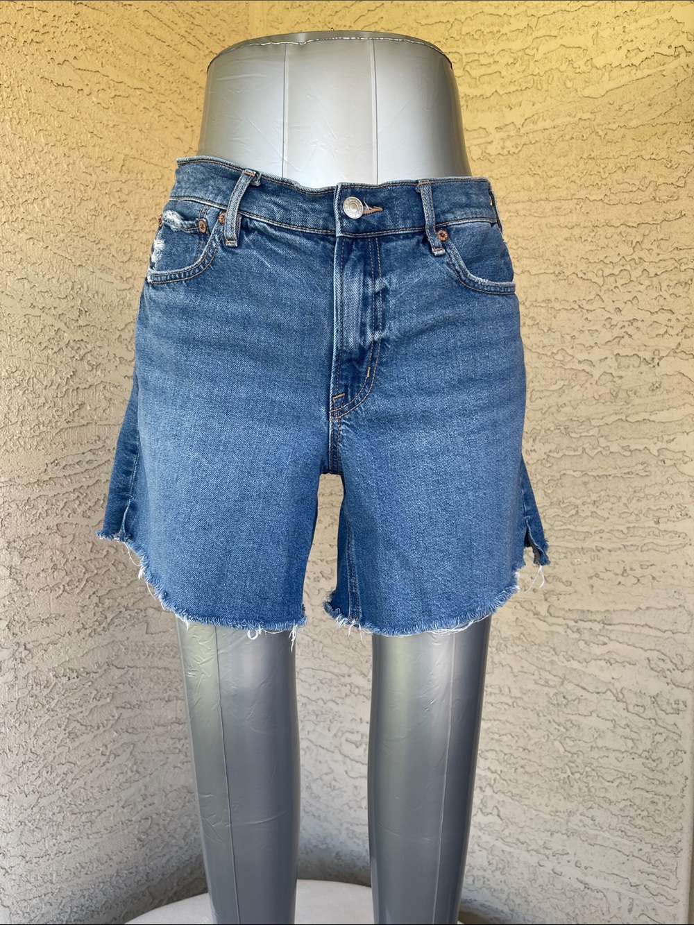 American Eagle Outfitters Relaxed strigid shorts